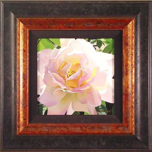 "Brian Davis Single Pristine Rose"