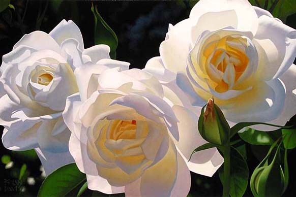 Brian Davis "Sunny Afternoon Roses"