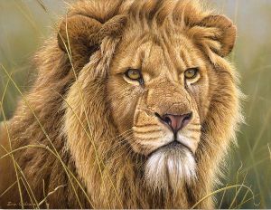 "Lion Portrait" Eric Wilson Wildlife Artist