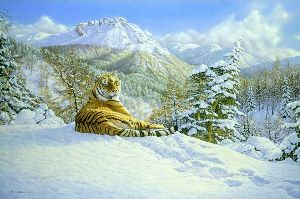 "Taiga Tiger" Eric Wilson Wildlife Art