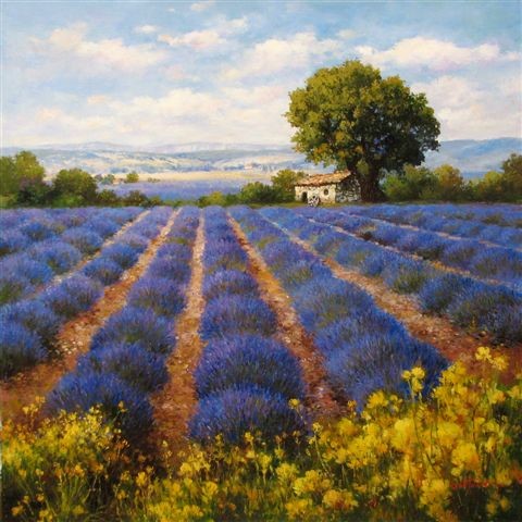 Fine  Gallery on Lavender Fields  Artist Paul Guy Gantner   Original Oil Paintings