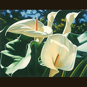 "Calla Lillies" Brian Davis