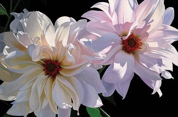 Brian Davis "Delightful Dahlias"