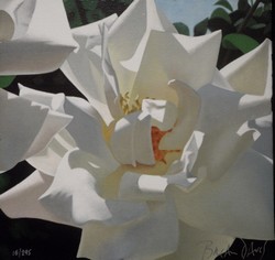 "Radiant Rose"  Brian Davis