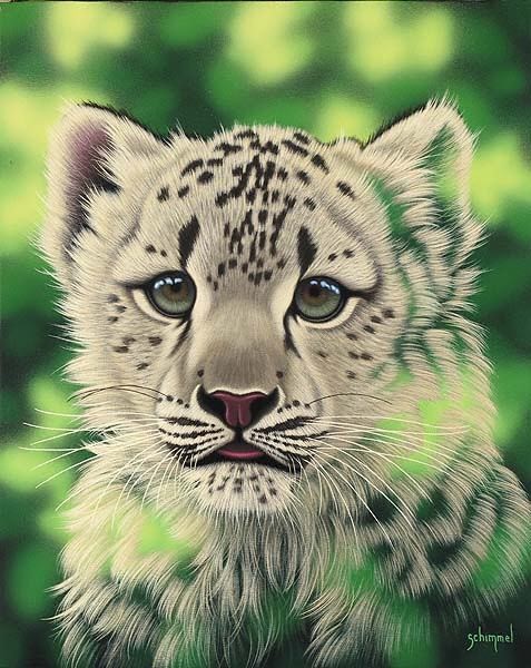 "Spots" Artist Schim Schimmel